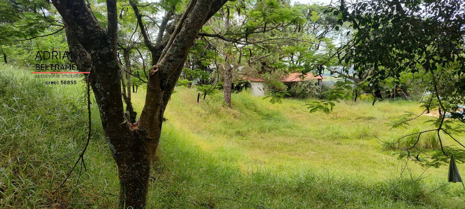 Chácara à venda com 4 quartos, 60000m² - Foto 4
