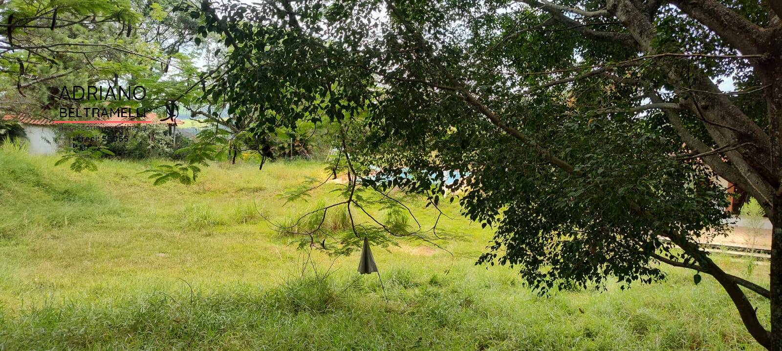 Chácara à venda com 4 quartos, 60000m² - Foto 3