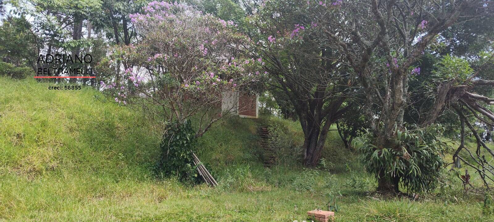Chácara à venda com 4 quartos, 60000m² - Foto 13