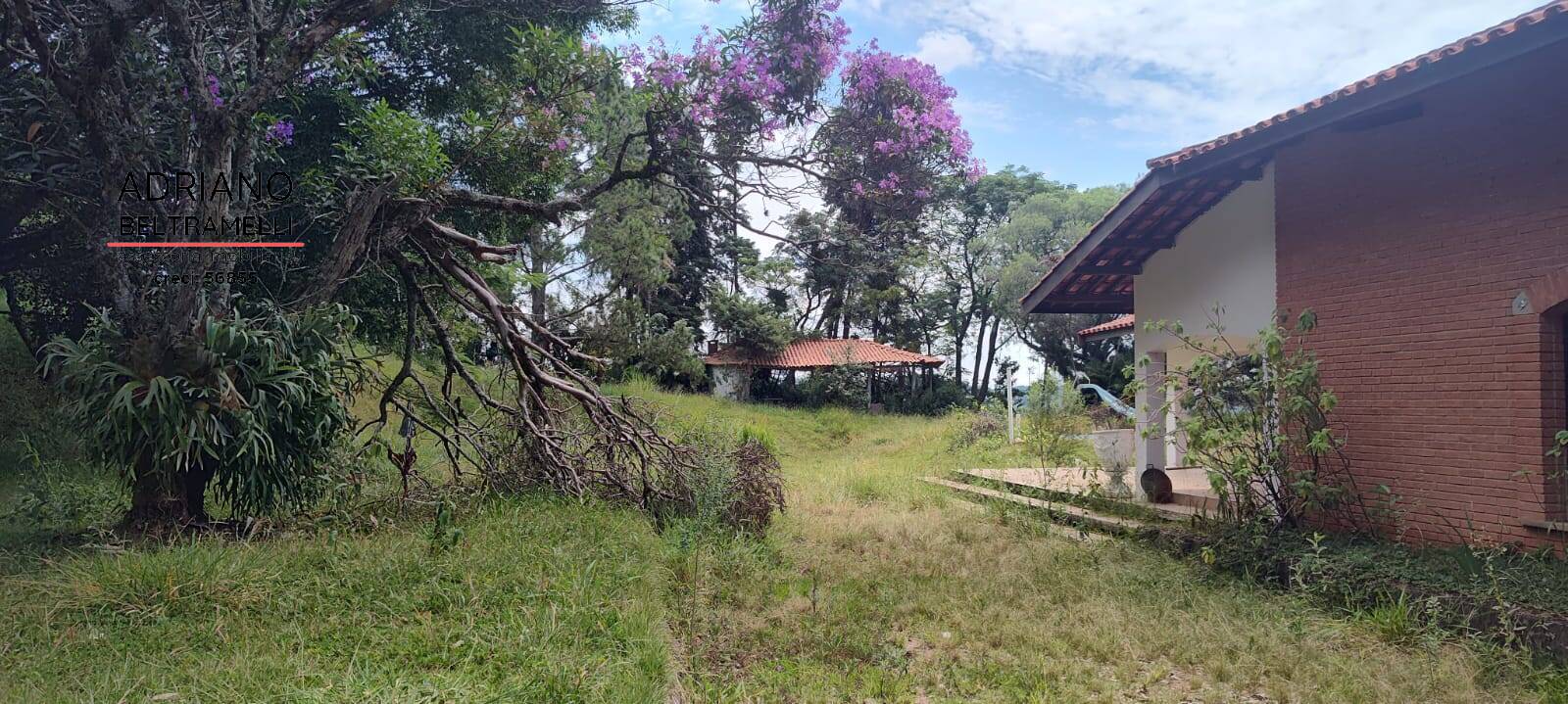 Chácara à venda com 4 quartos, 60000m² - Foto 14
