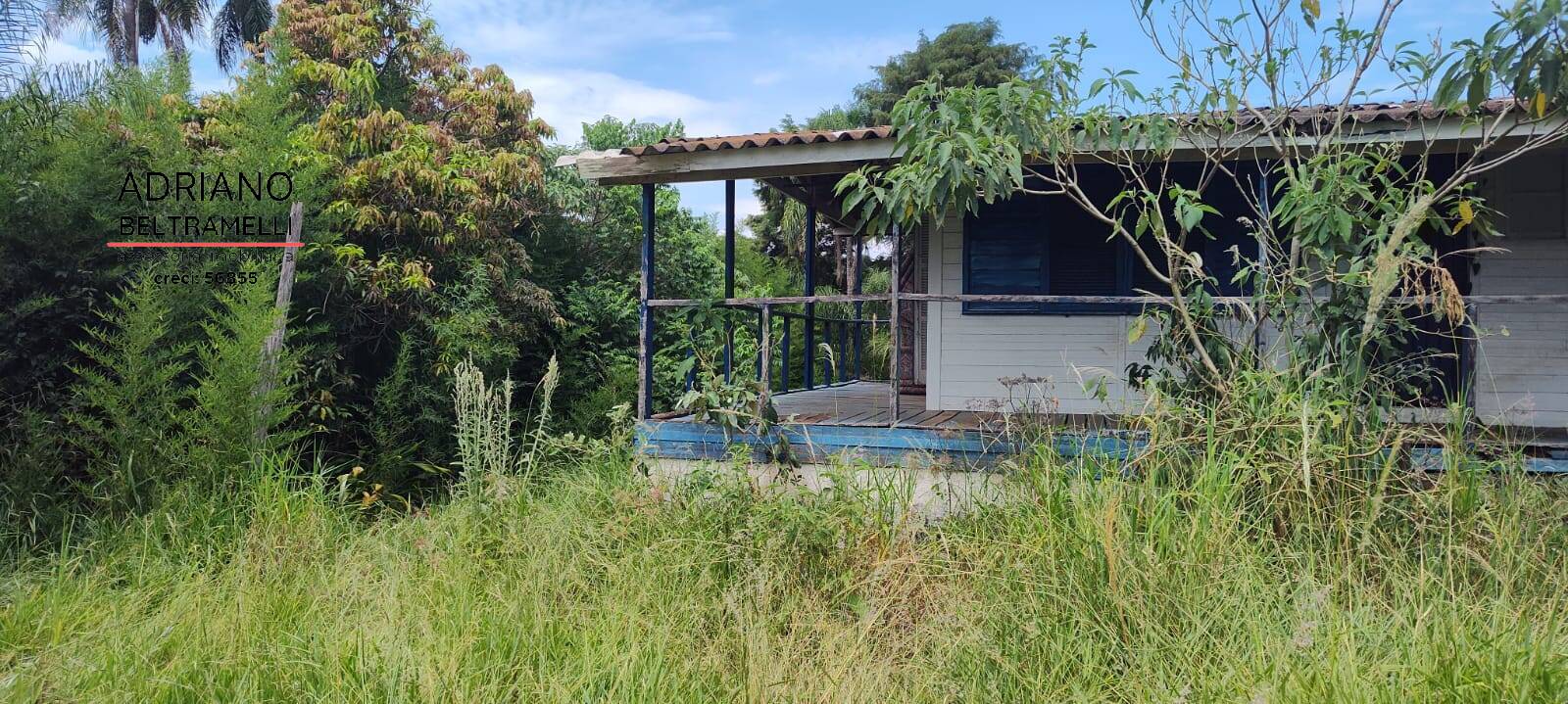 Chácara à venda com 4 quartos, 60000m² - Foto 17