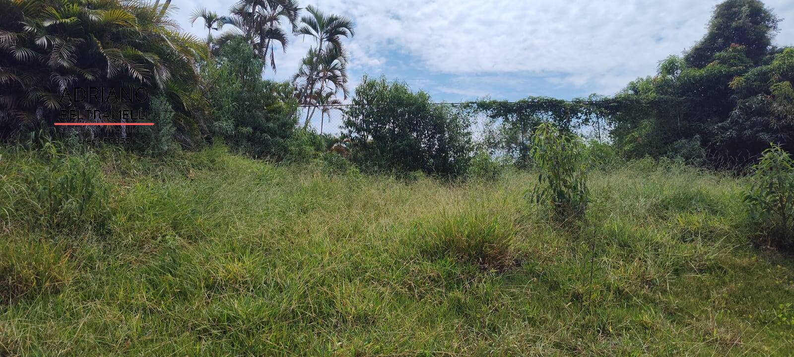Chácara à venda com 4 quartos, 60000m² - Foto 8