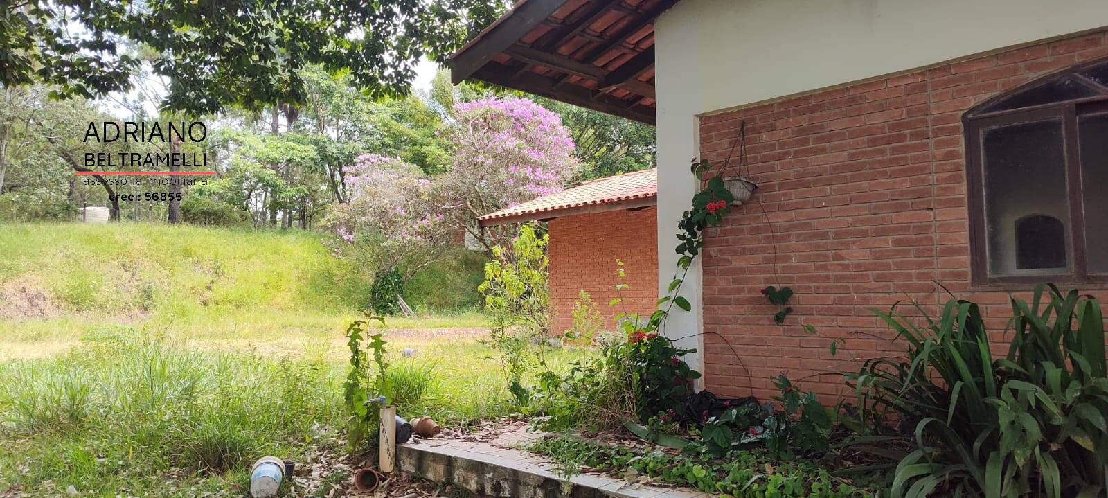 Chácara à venda com 4 quartos, 60000m² - Foto 20