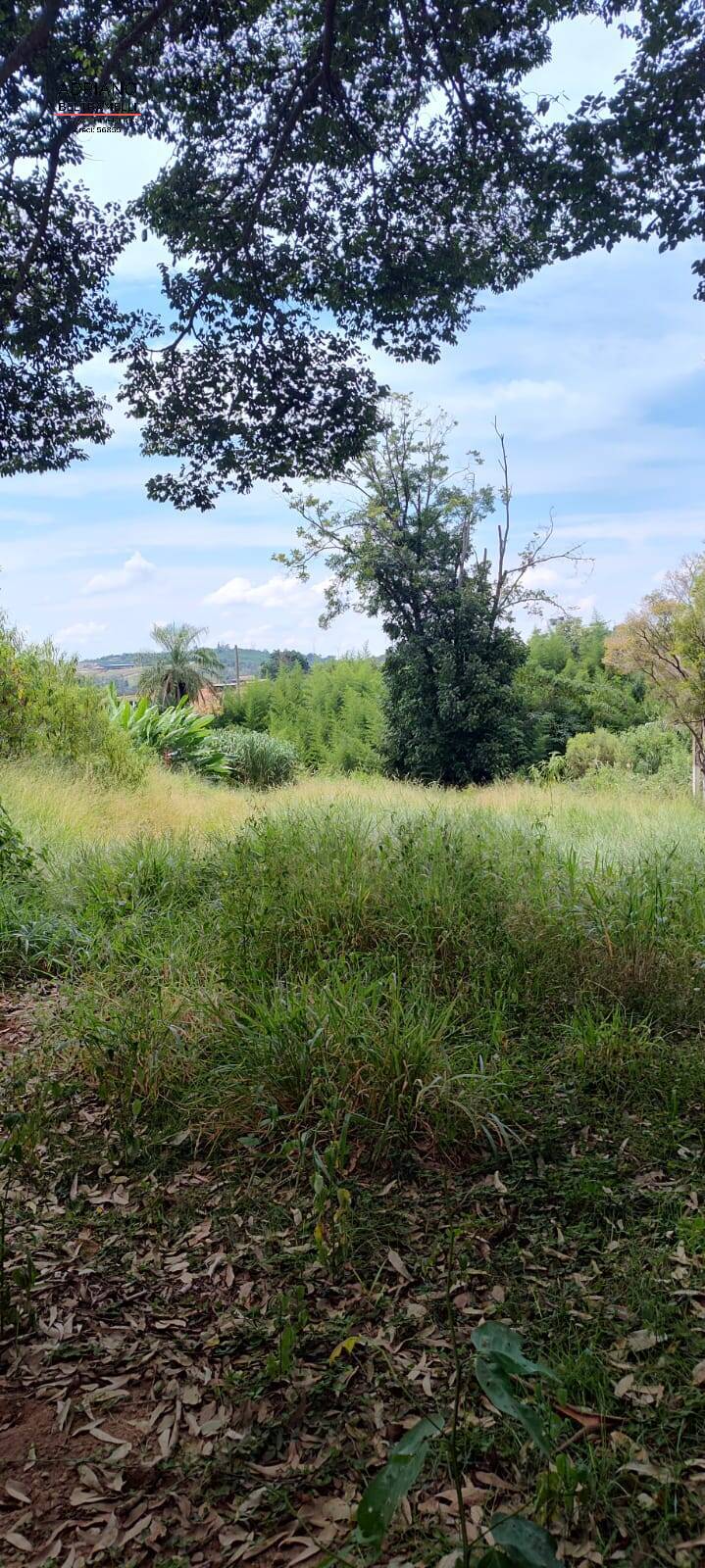 Chácara à venda com 4 quartos, 60000m² - Foto 9
