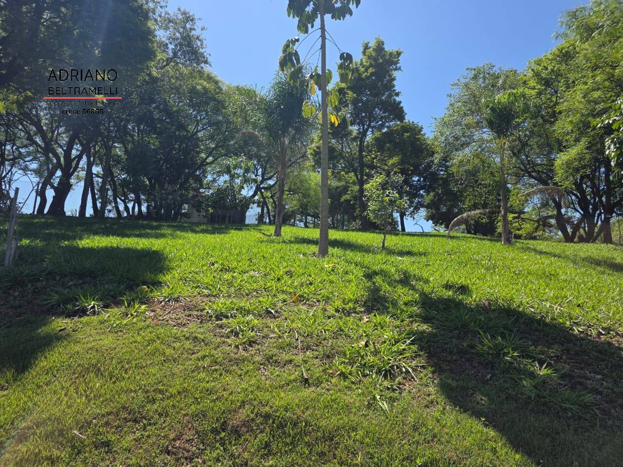 Chácara, 4 quartos, 2 hectares - Foto 10