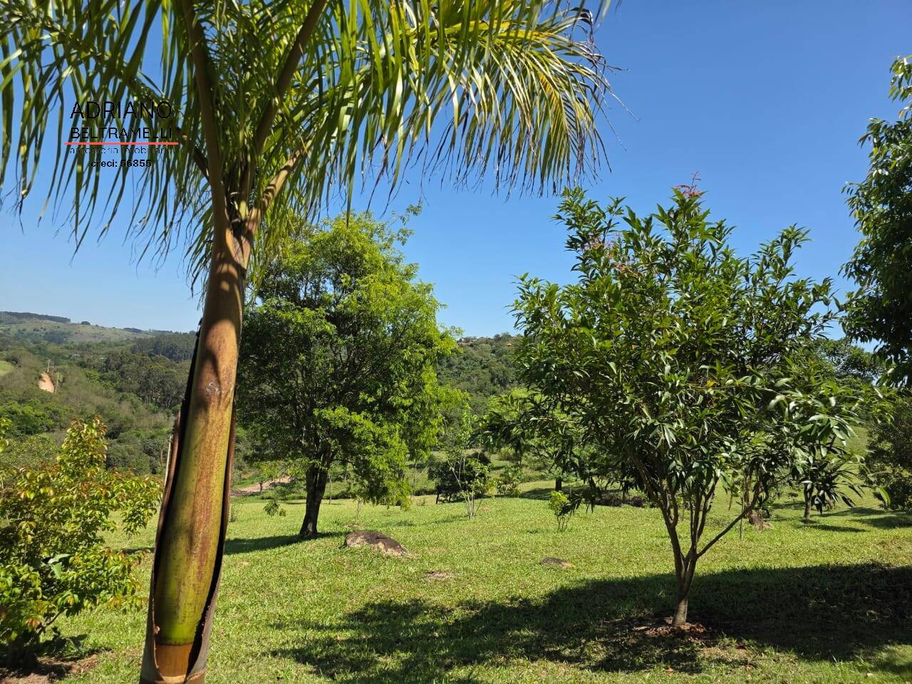 Chácara, 4 quartos, 2 hectares - Foto 11