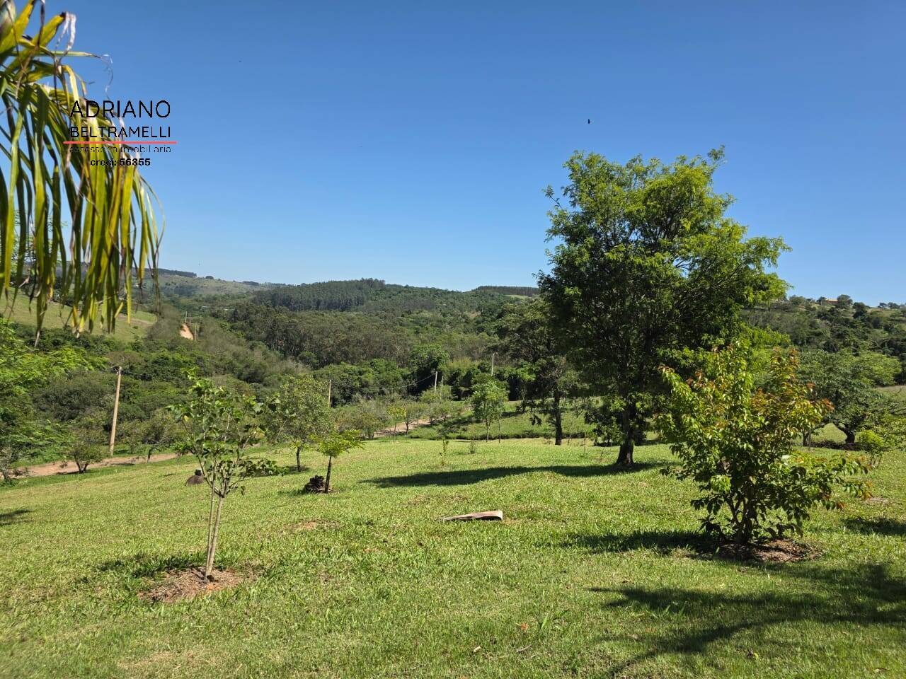 Chácara, 4 quartos, 2 hectares - Foto 12