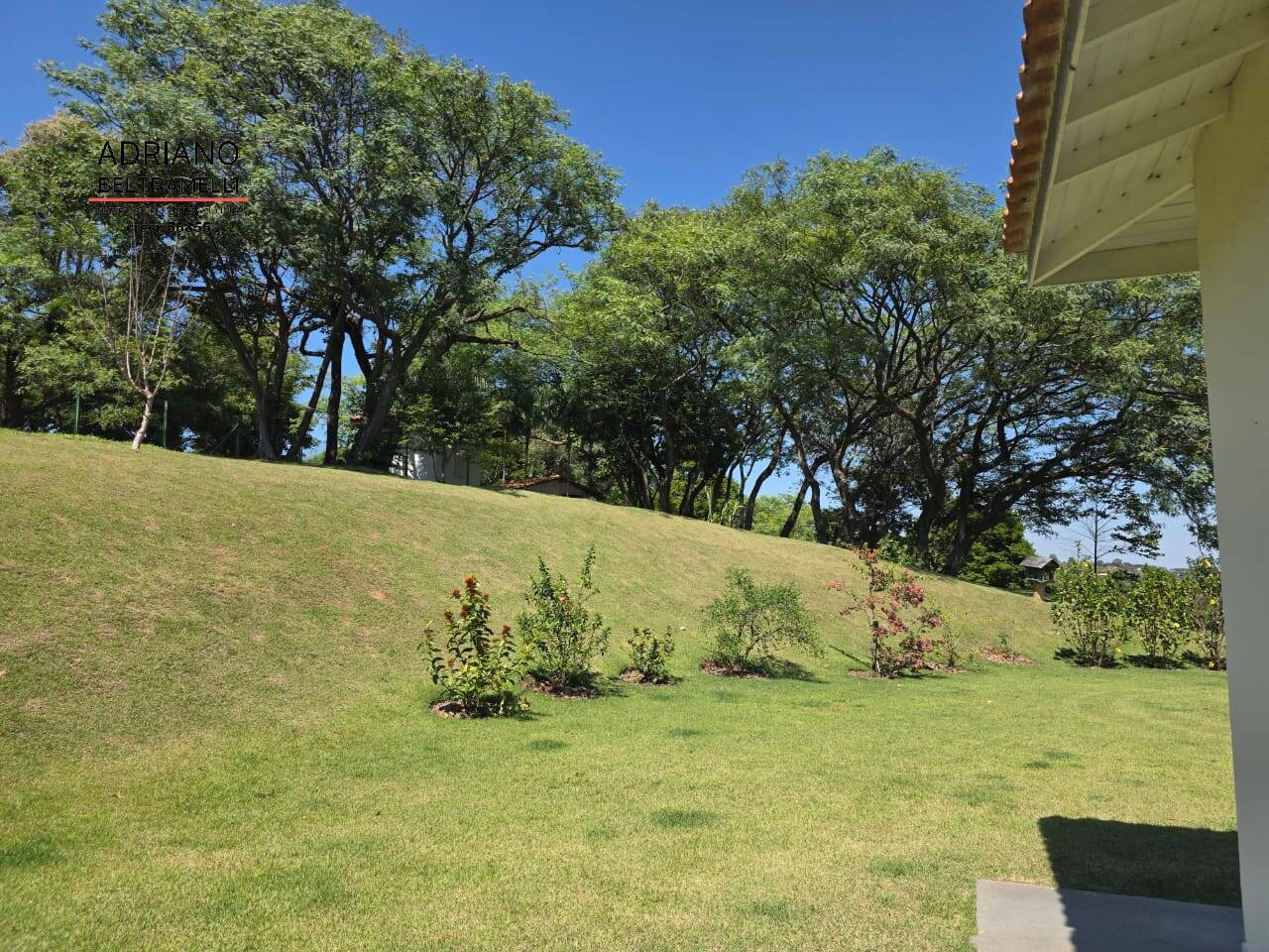 Chácara, 4 quartos, 2 hectares - Foto 18