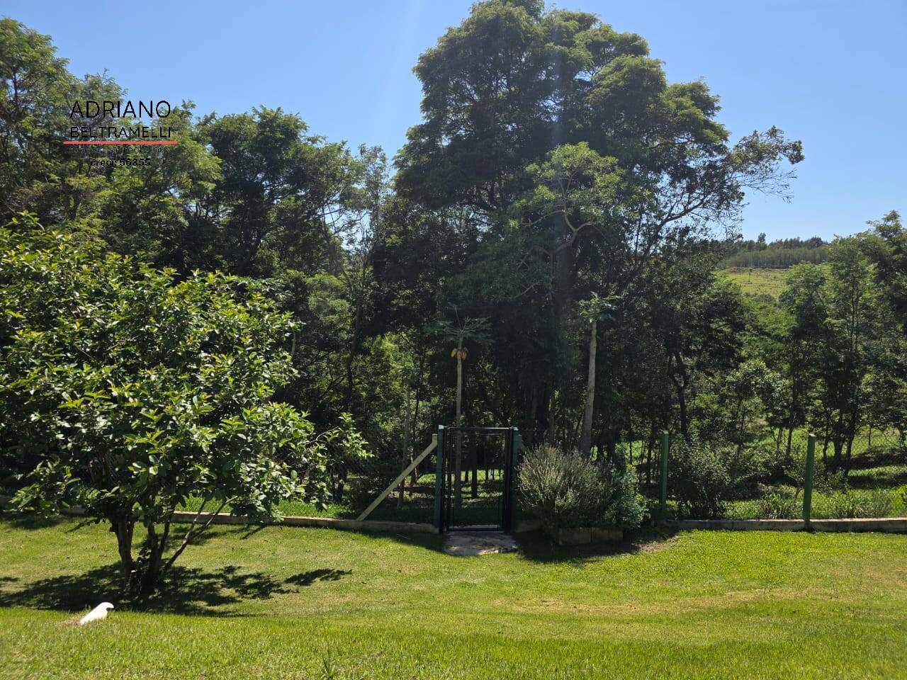 Chácara, 4 quartos, 2 hectares - Foto 21