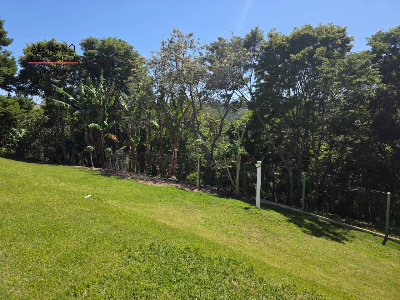 Chácara, 4 quartos, 2 hectares - Foto 23