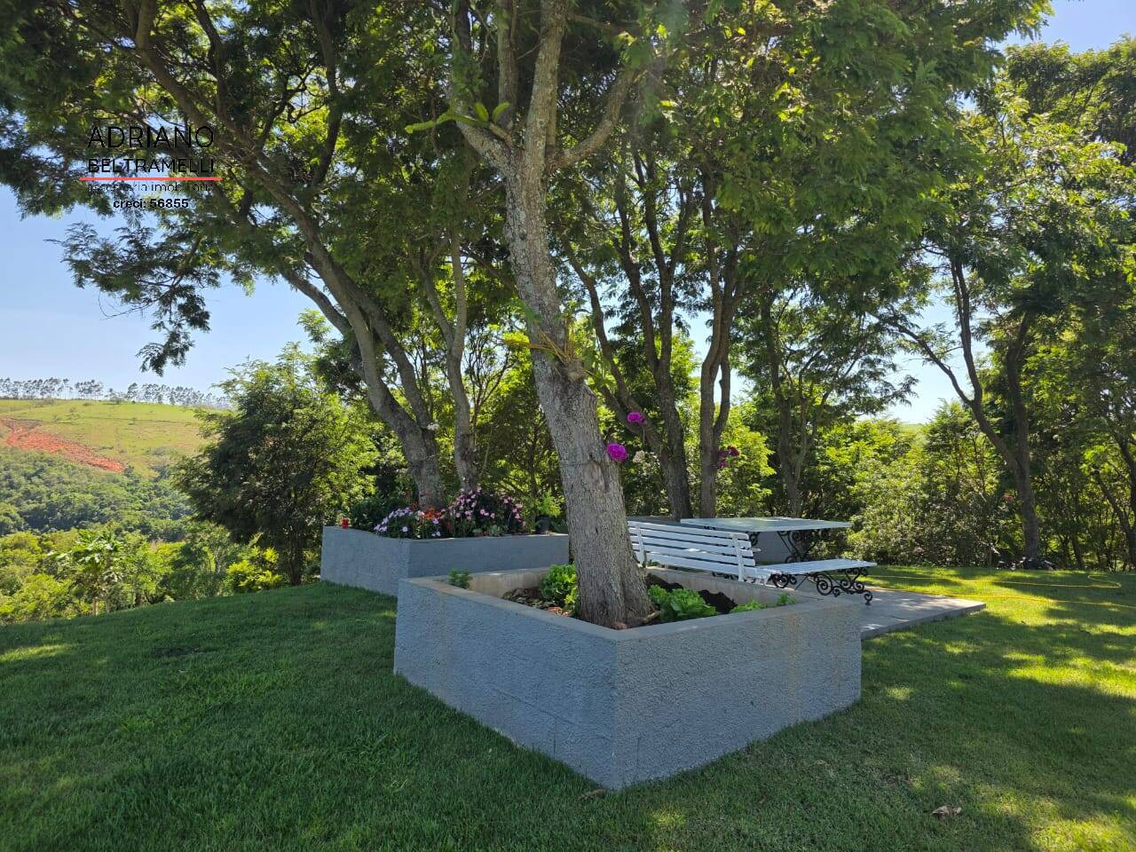 Chácara, 4 quartos, 2 hectares - Foto 30