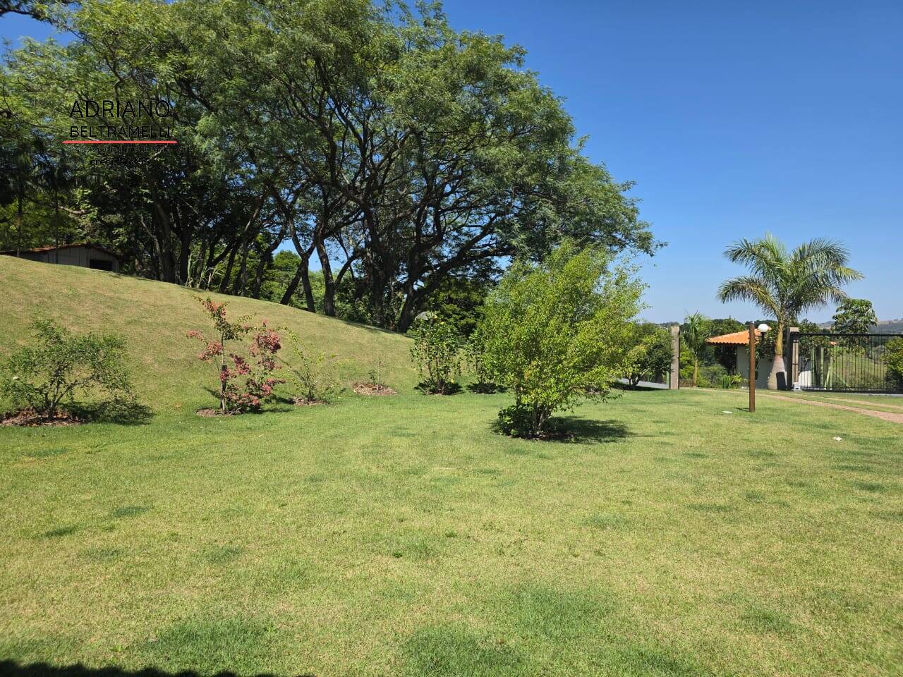 Chácara, 4 quartos, 2 hectares - Foto 7