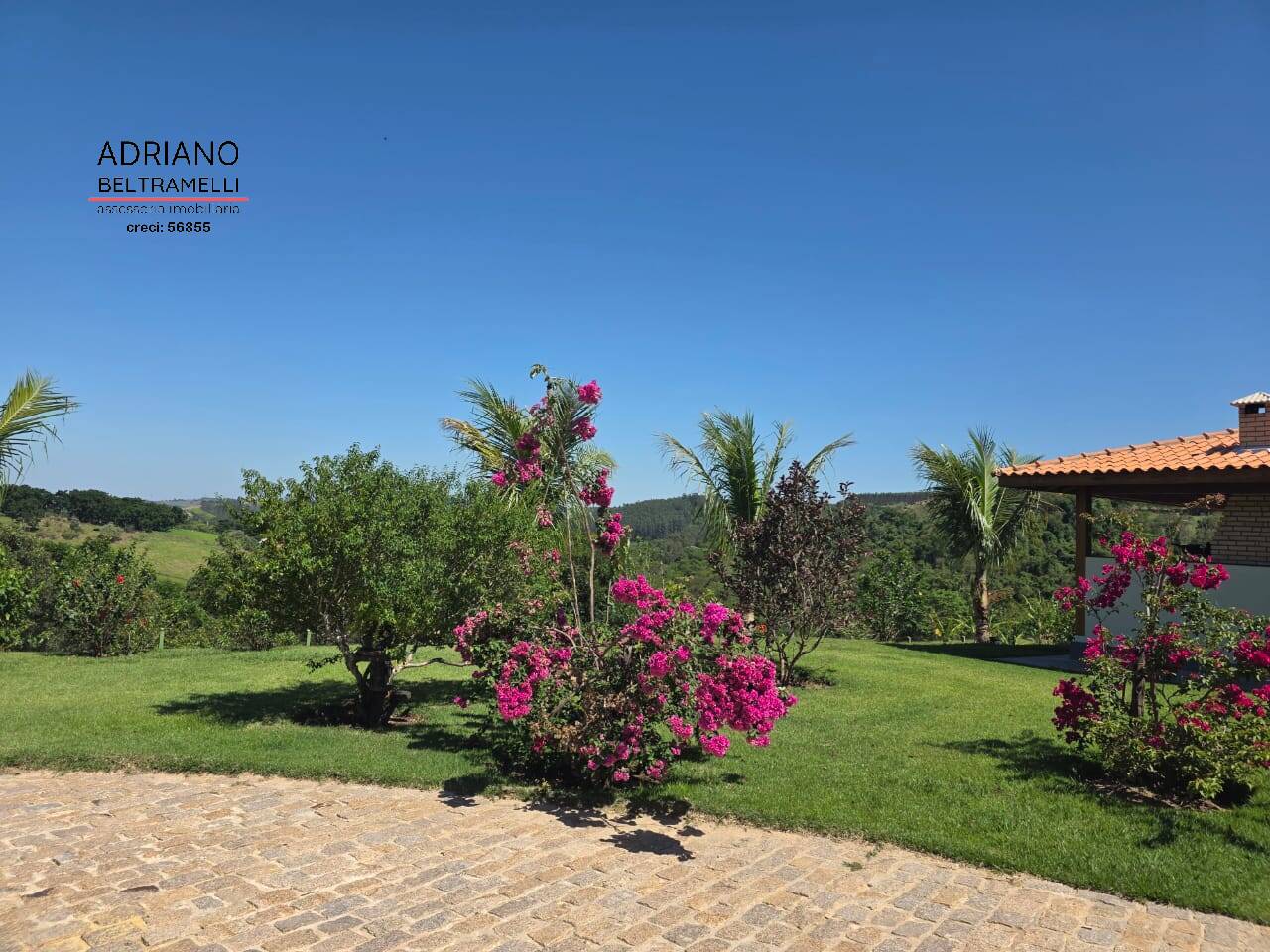 Chácara, 4 quartos, 2 hectares - Foto 3