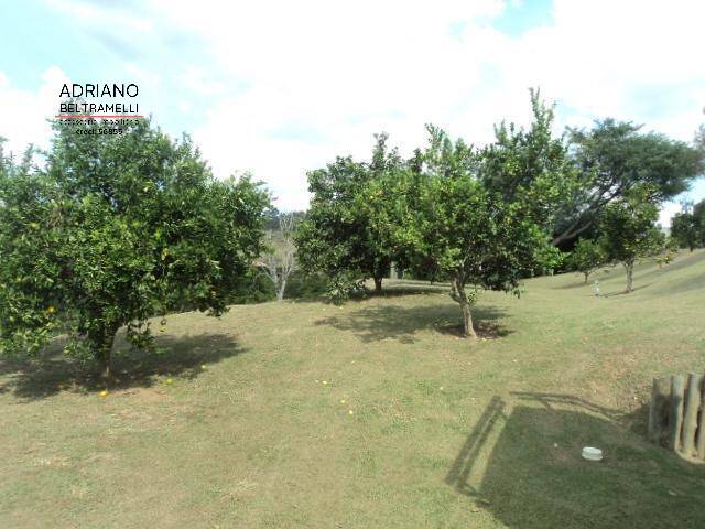 Sítio, 4 quartos, 2 hectares - Foto 9