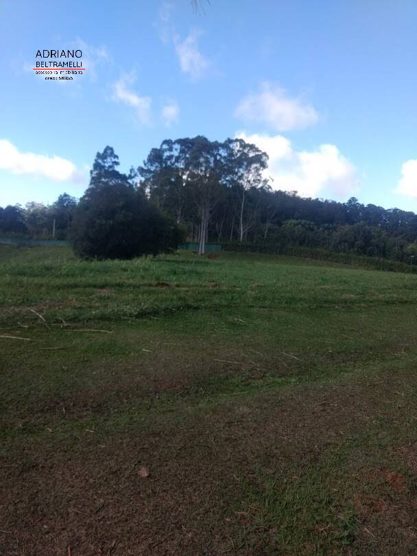 Terreno, 2 hectares - Foto 6