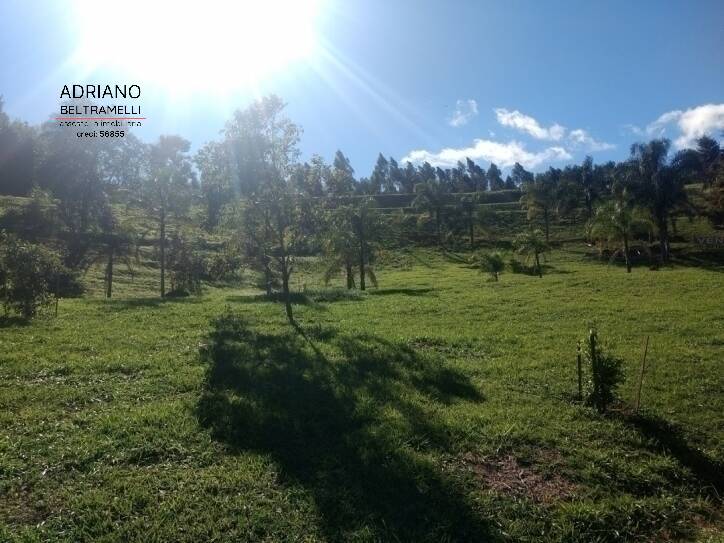 Terreno, 2 hectares - Foto 8