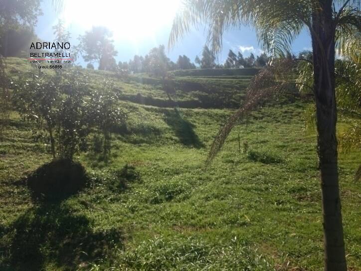 Terreno, 2 hectares - Foto 9