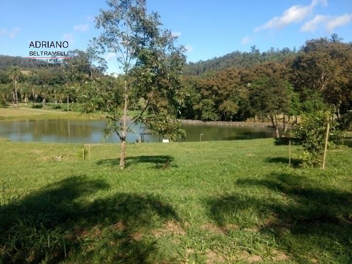 Terreno, 2 hectares - Foto 10