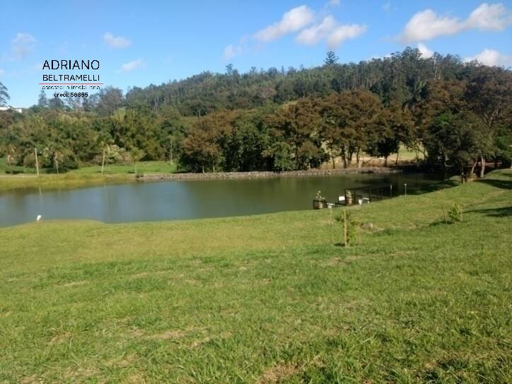 Terreno, 2 hectares - Foto 2