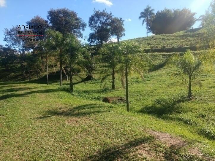 Terreno, 2 hectares - Foto 12