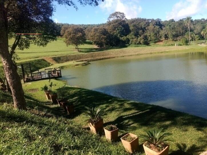 Terreno, 2 hectares - Foto 17