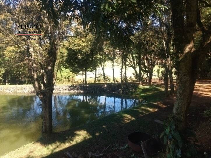 Terreno, 2 hectares - Foto 19