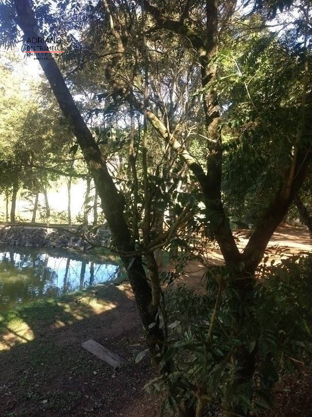 Terreno, 2 hectares - Foto 20