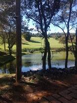 Terreno, 2 hectares - Foto 22