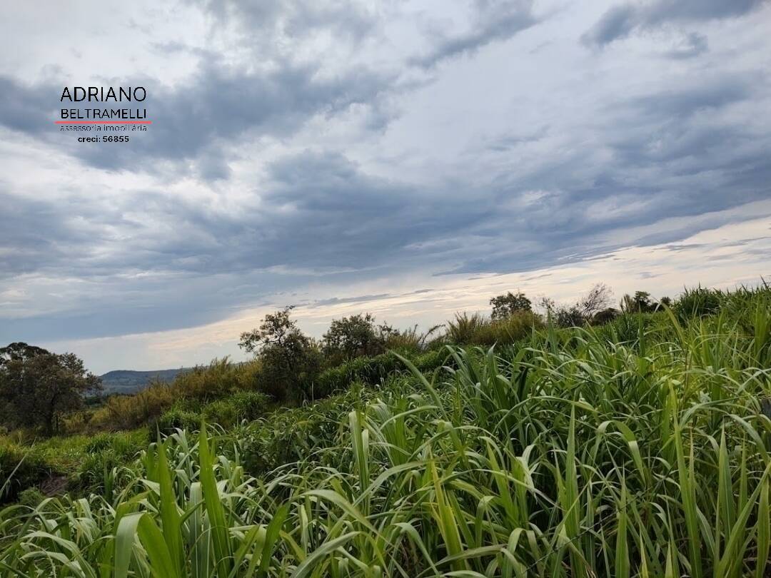 Sítio, 2 quartos, 6 hectares - Foto 7