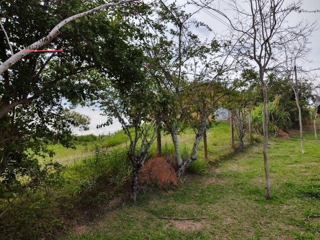 Sítio, 2 quartos, 6 hectares - Foto 8