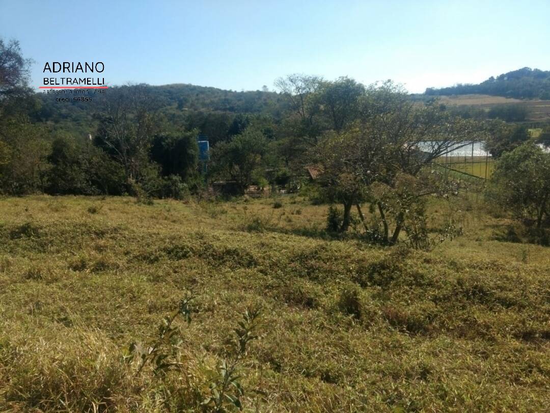 Terreno, 2 hectares - Foto 4