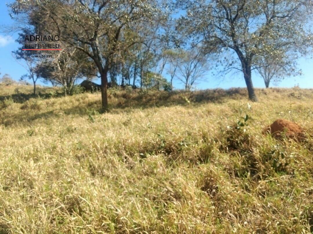 Terreno, 2 hectares - Foto 5