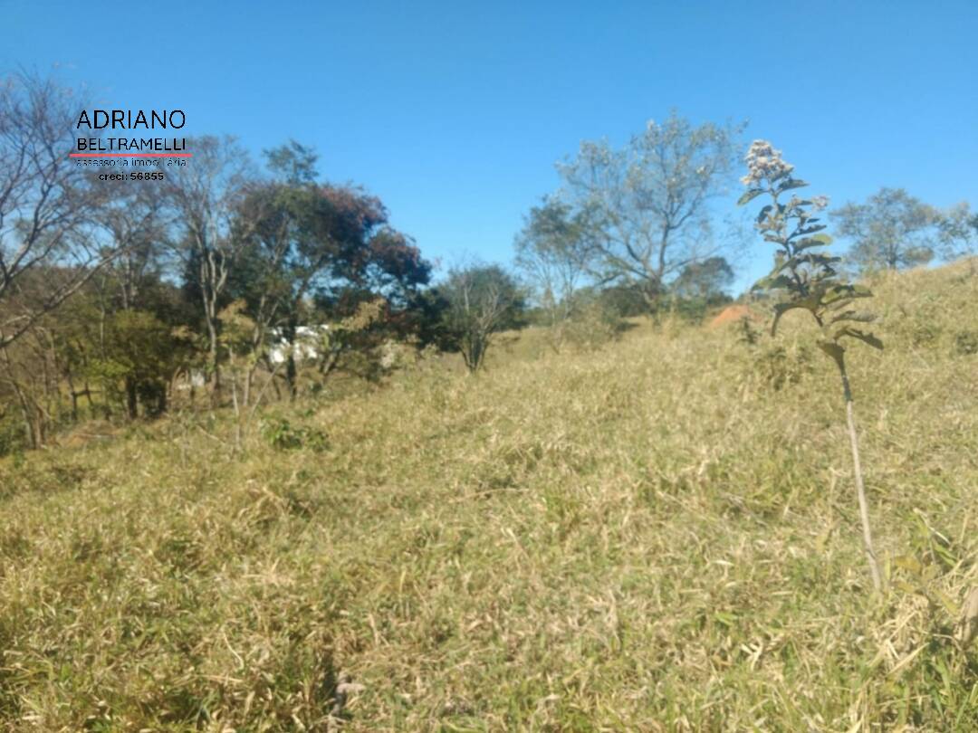 Terreno, 2 hectares - Foto 6