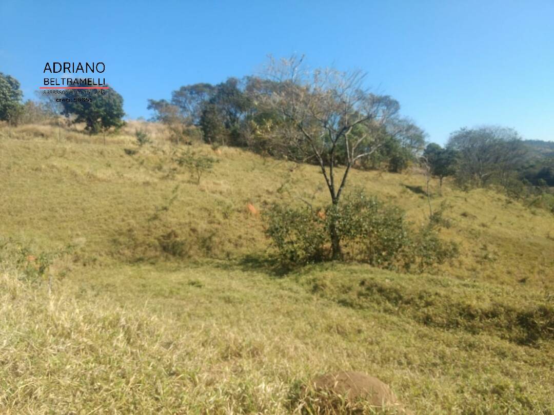 Terreno, 2 hectares - Foto 7