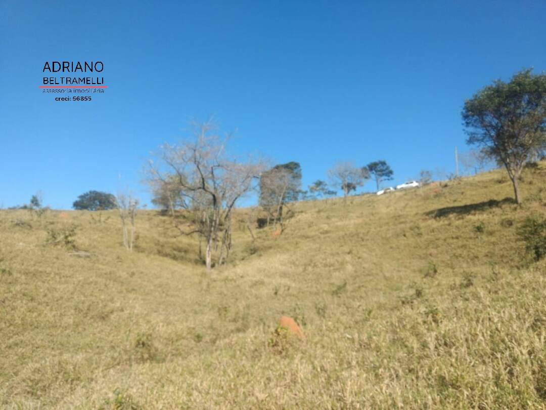 Terreno, 2 hectares - Foto 9