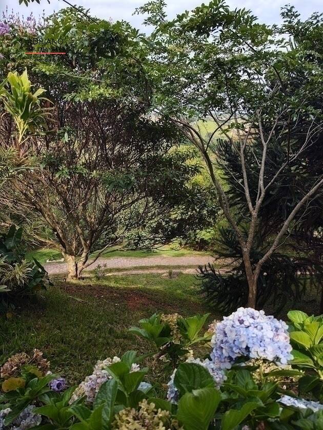 Sítio, 5 quartos, 2 hectares - Foto 45