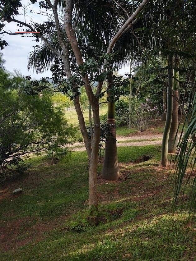 Sítio, 5 quartos, 2 hectares - Foto 54