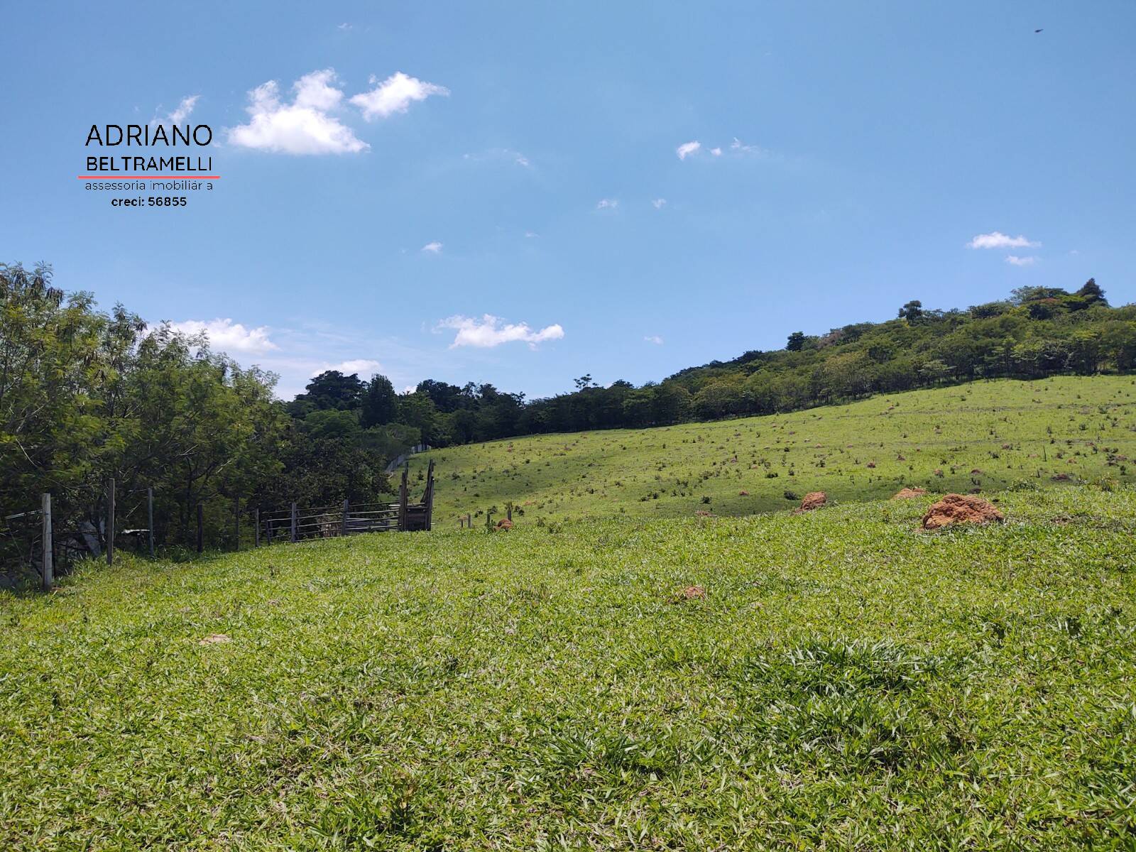 Terreno, 3 hectares - Foto 2