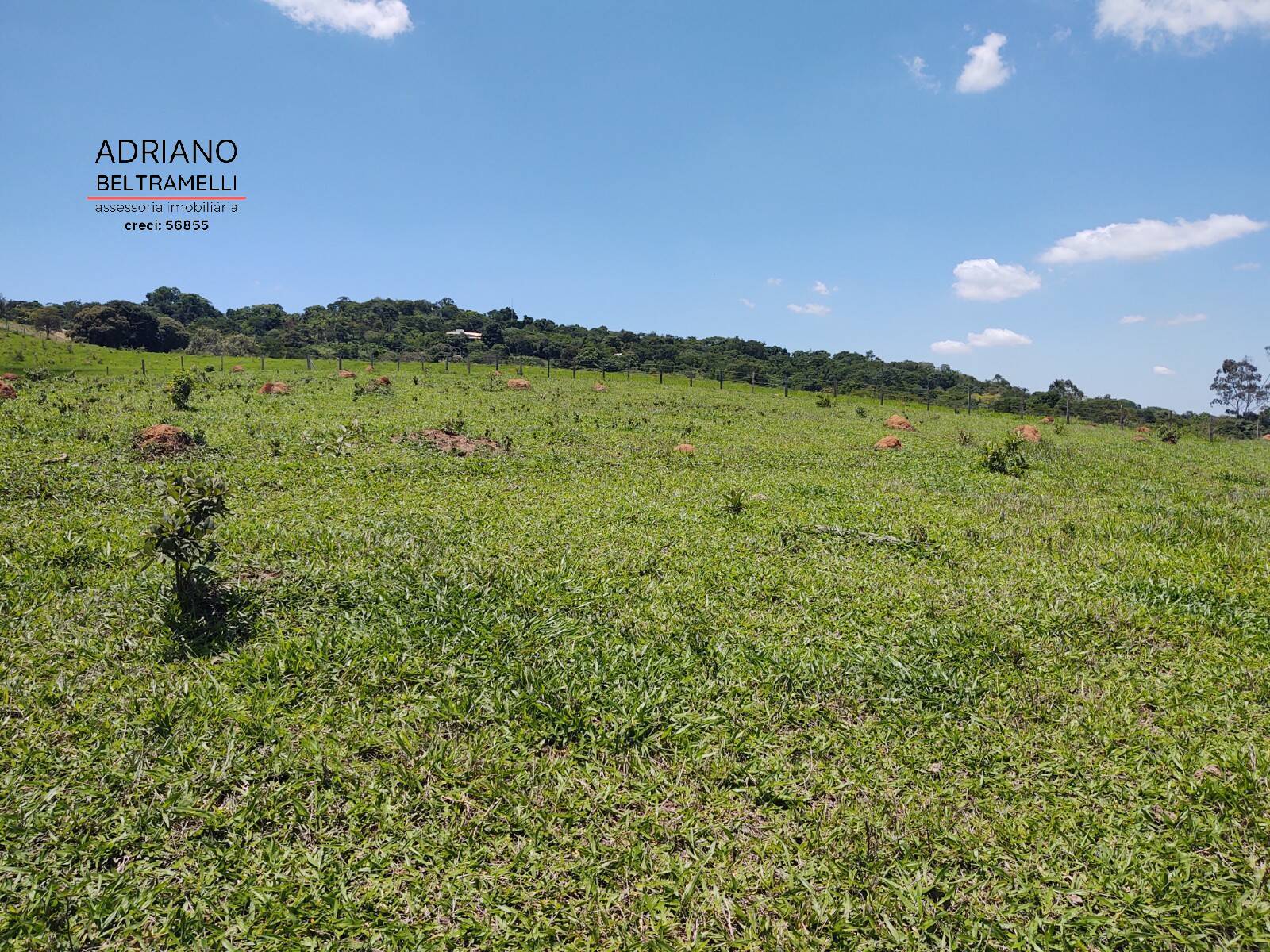 Terreno, 3 hectares - Foto 3