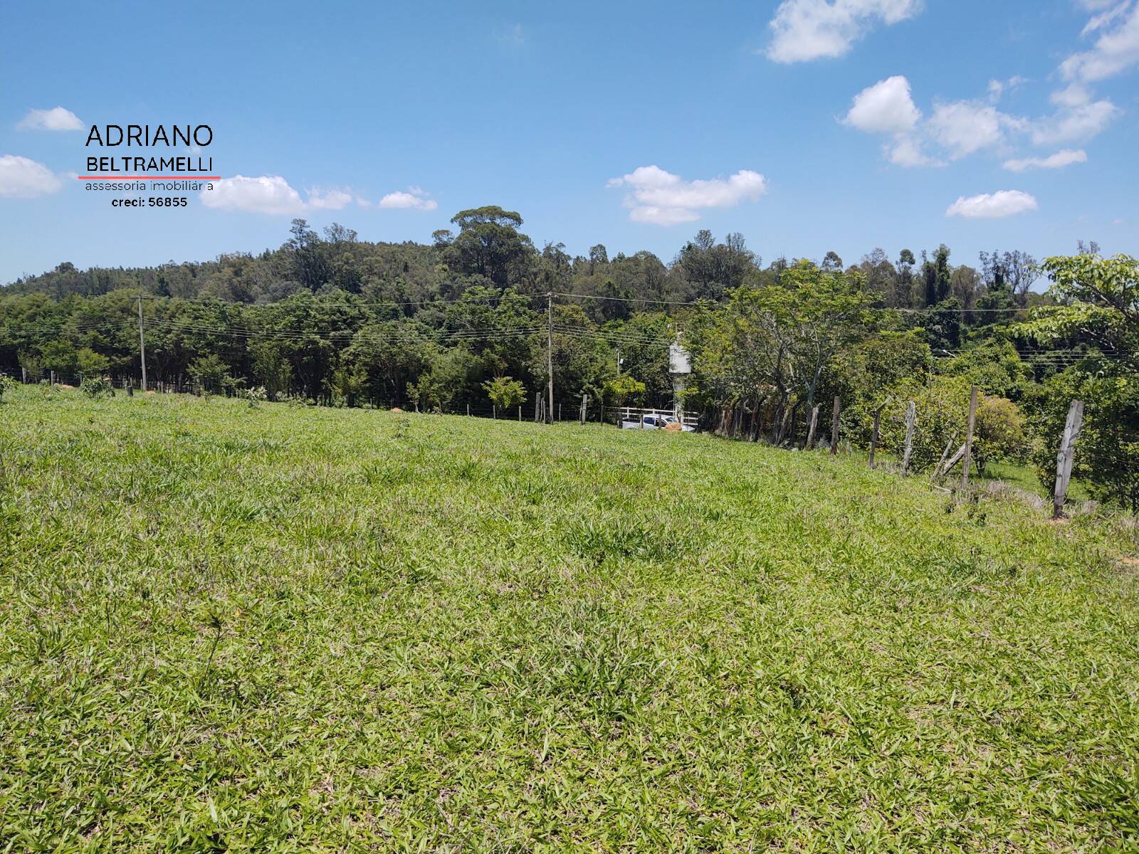 Terreno, 3 hectares - Foto 5