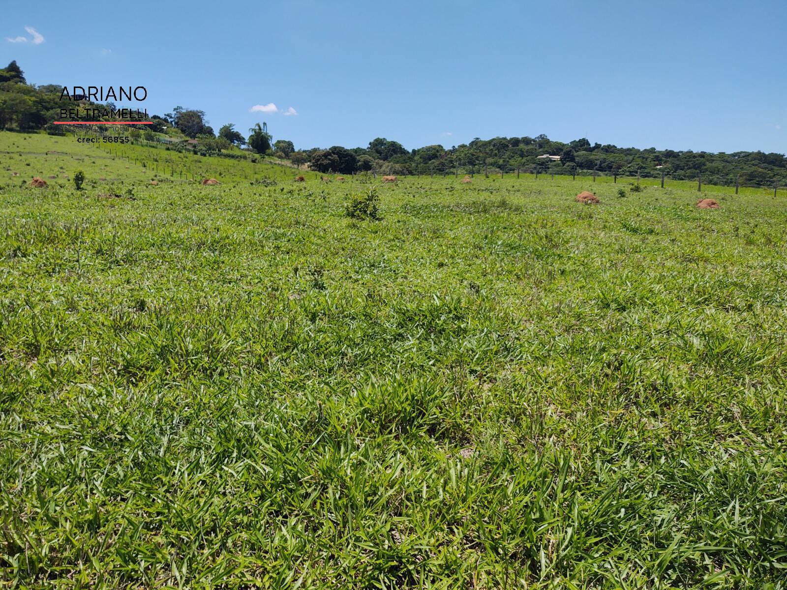 Terreno, 3 hectares - Foto 6