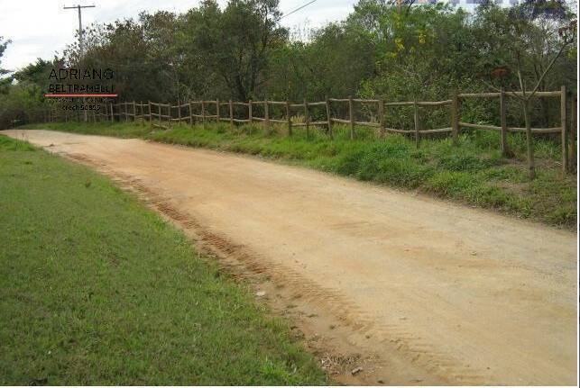 Terreno, 3 hectares - Foto 9