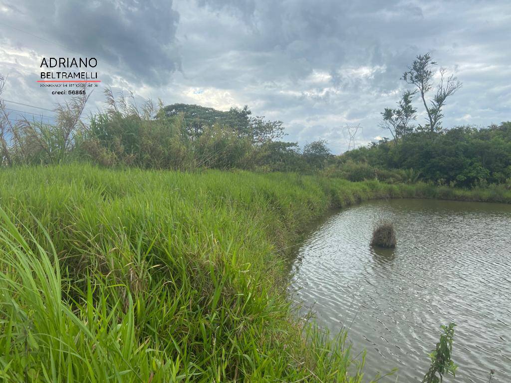 Sítio, 2 quartos, 6 hectares - Foto 10