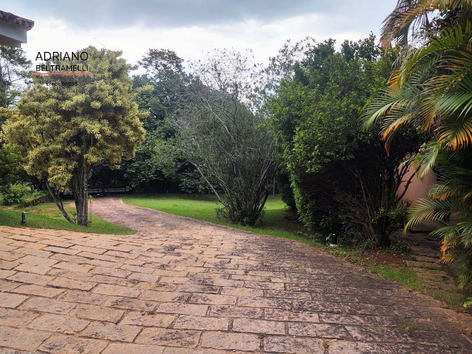 Casa, 4 quartos, 563 m² - Foto 22