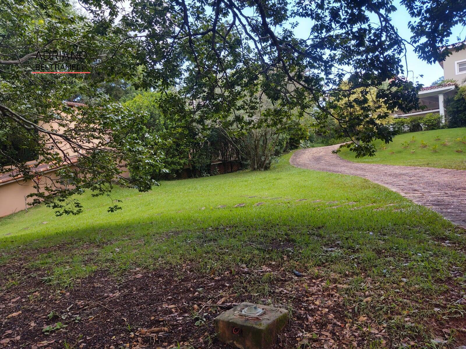 Casa, 4 quartos, 563 m² - Foto 26