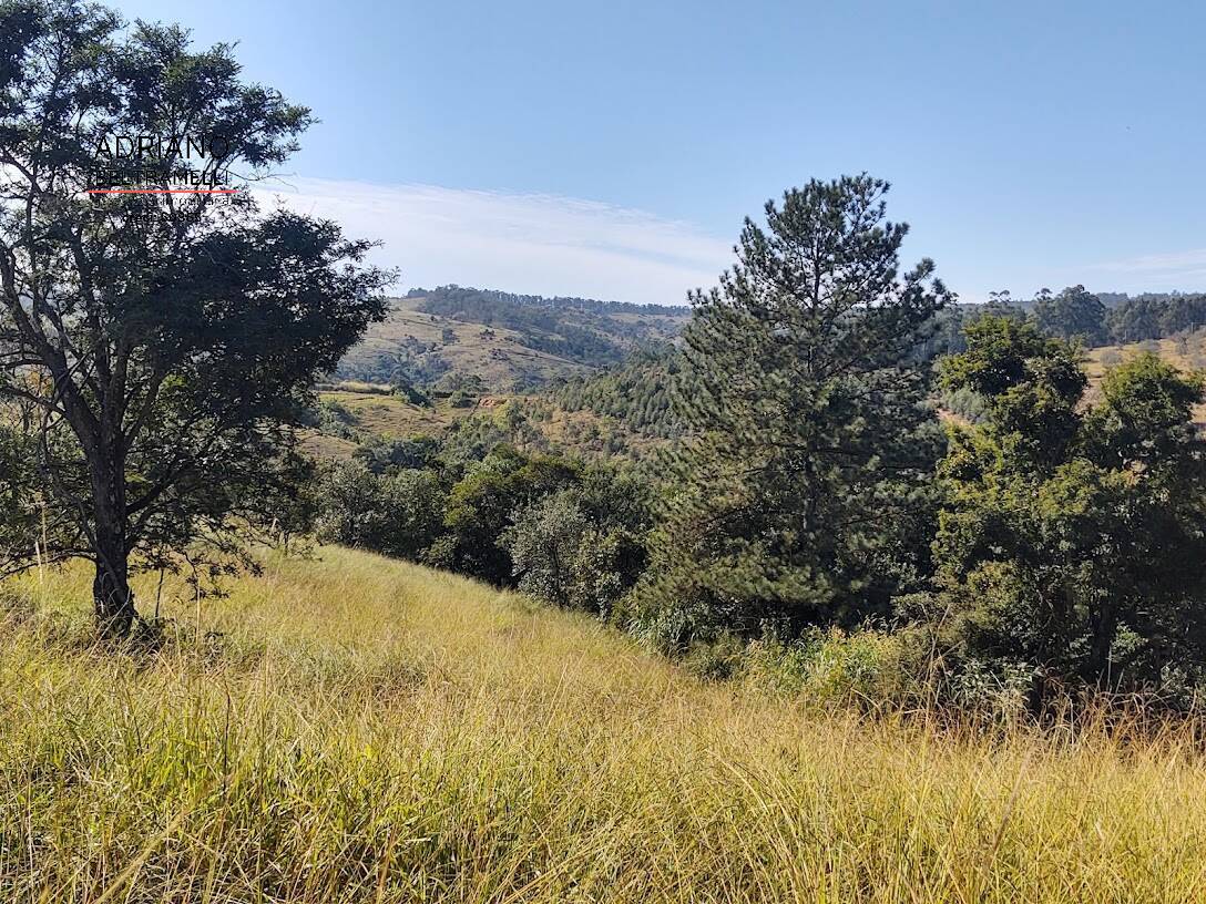 Terreno, 2 hectares - Foto 7