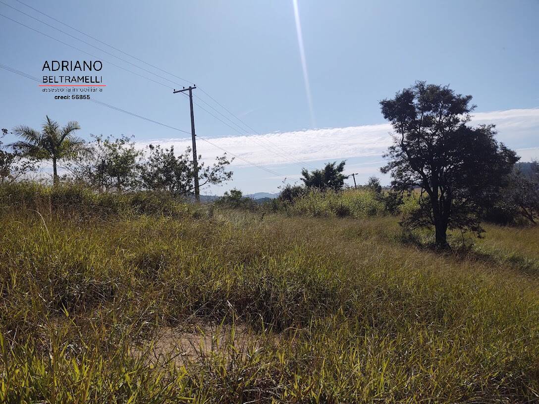 Terreno, 2 hectares - Foto 8