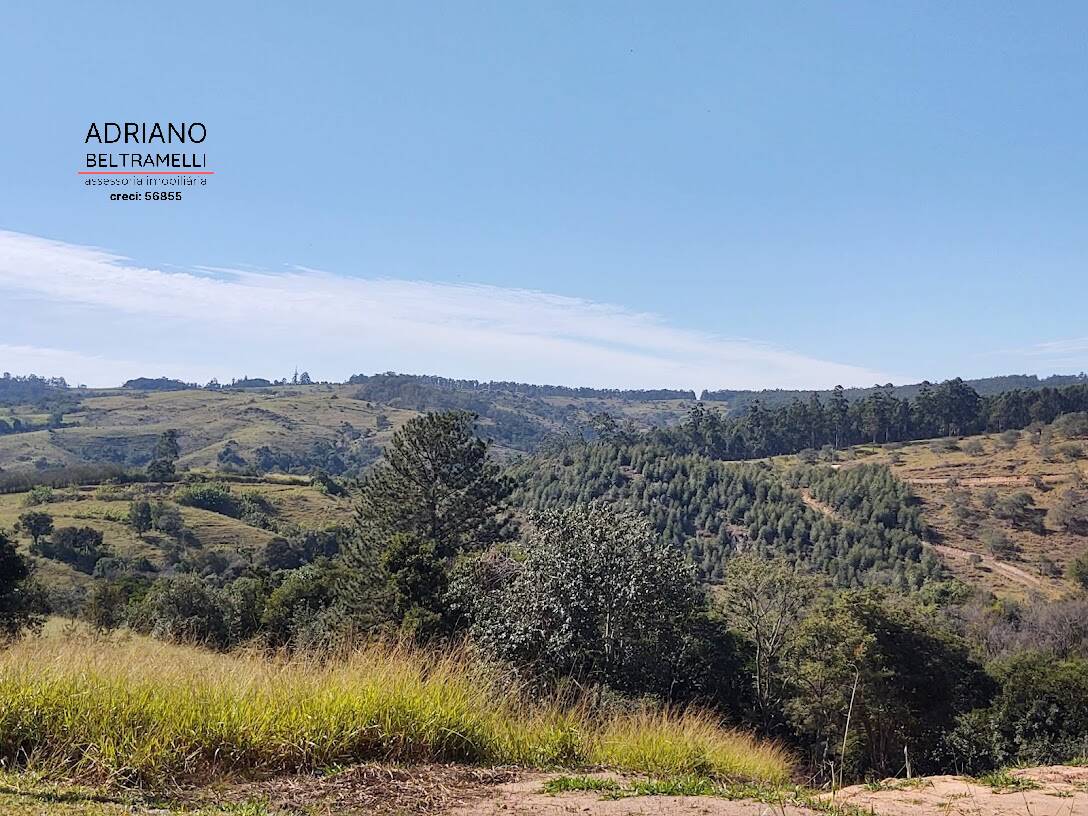 Terreno, 2 hectares - Foto 2