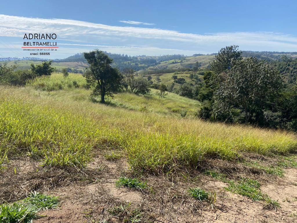 Terreno, 2 hectares - Foto 9