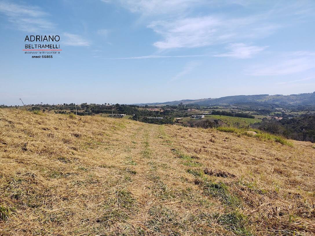 Terreno, 4 hectares - Foto 3